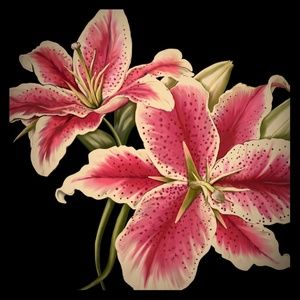 Bundle and save!   No reasonable offers refused.